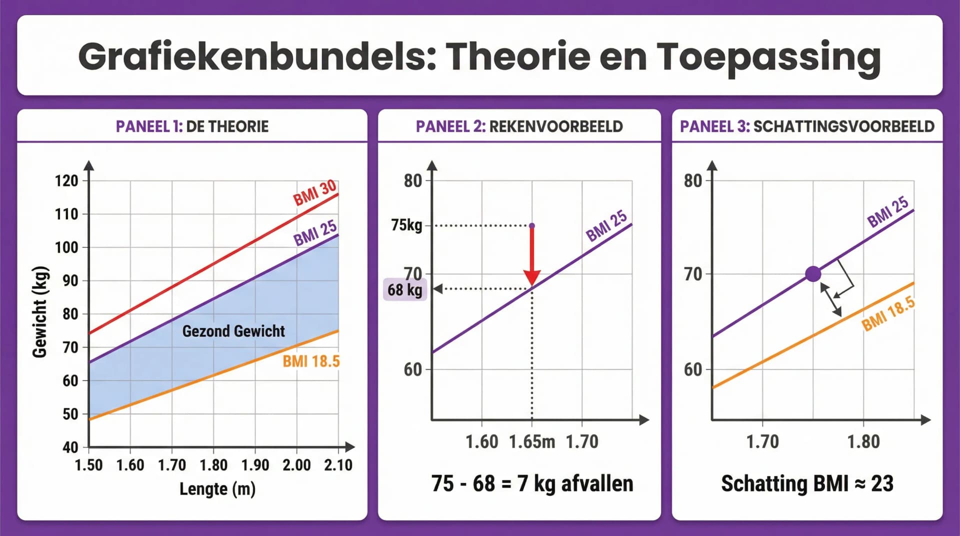 Samenvatting Grafiekenbundels